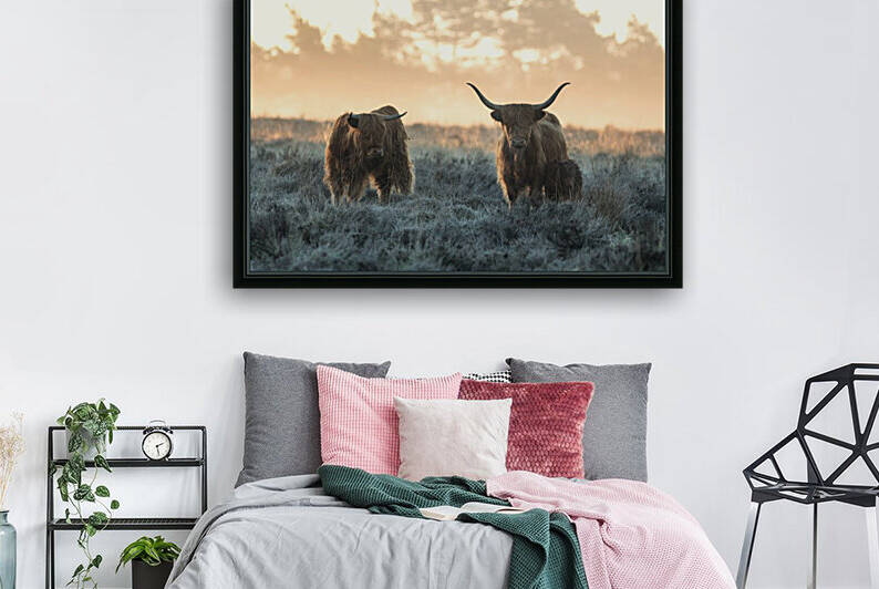 Three Highlanders by 1x