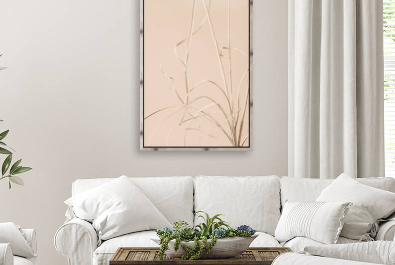 Elephant qTai Chiq by 1x