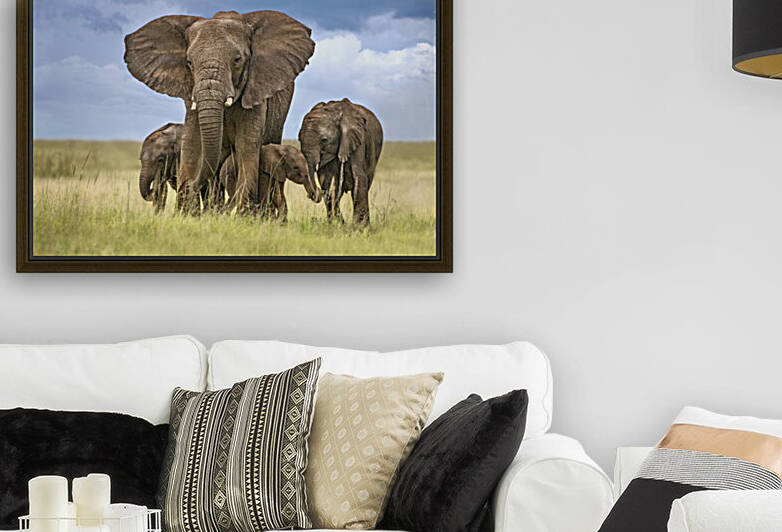 Elephant mom protecting her calves by 1x