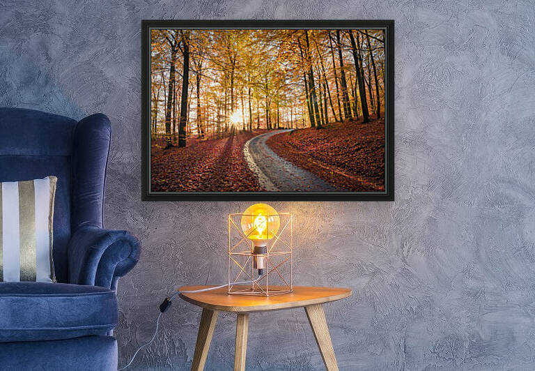 Road in SApderAysen nationalpark, Sweden by 1x