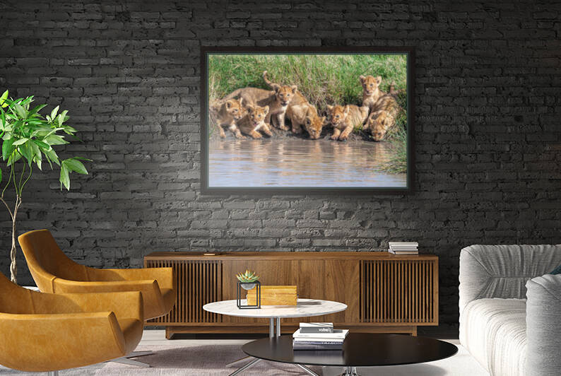 Putting the band back together.... by 1x