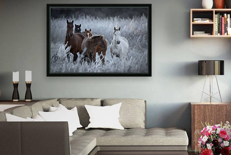 One frosty morning.. by 1x