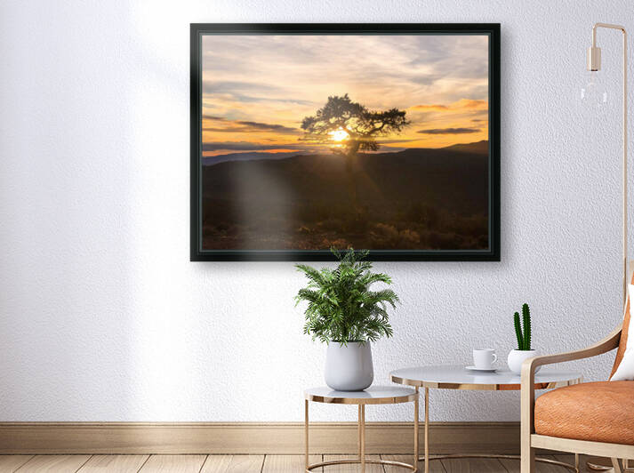 485BD6F5 B97B 4358 8047 908978FFC7DA by Andy W