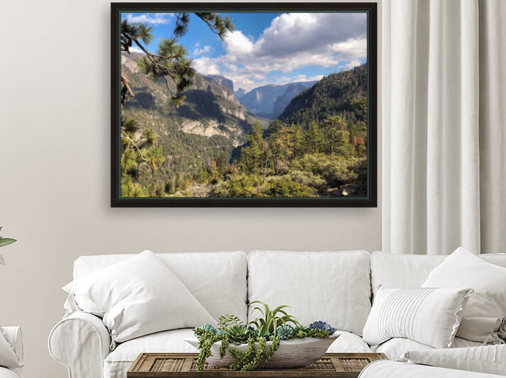 F9032C29 A53C 4CC7 88D4 33D0A0526FEF by Andy W