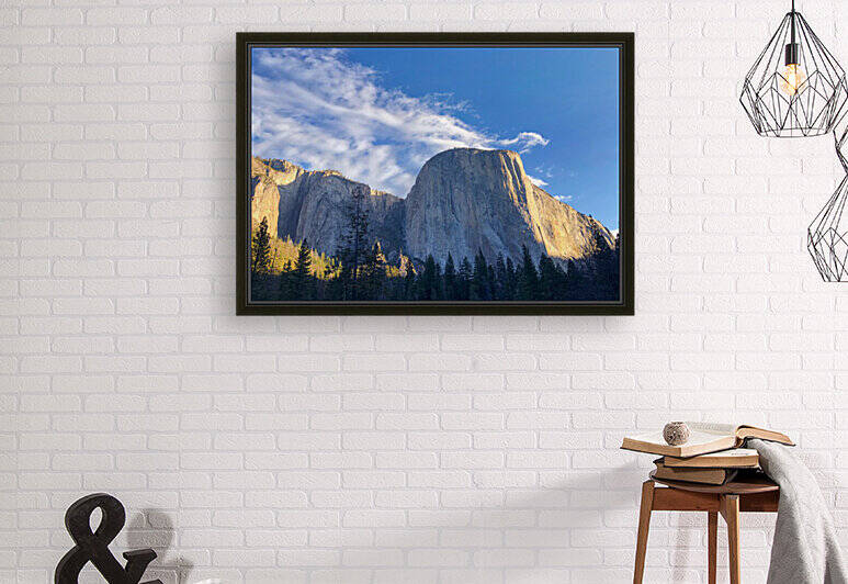 9EEF9E31 8F5F 4956 9A40 D47744A65F8C by Andy W