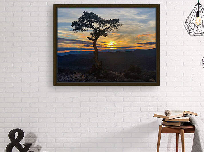 E21A024B 2983 4AC4 8FAE E5A074F20F8E by Andy W