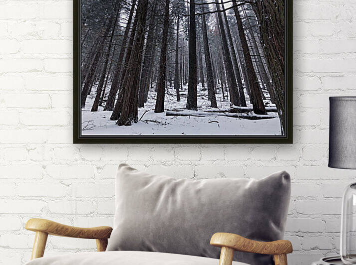 39543A99 0BC6 4A1D A9BF E3EF00DED00F by Andy W