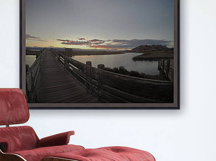 CCA244D8 1485 439A 893A E91D6DC9A01C by Andy W