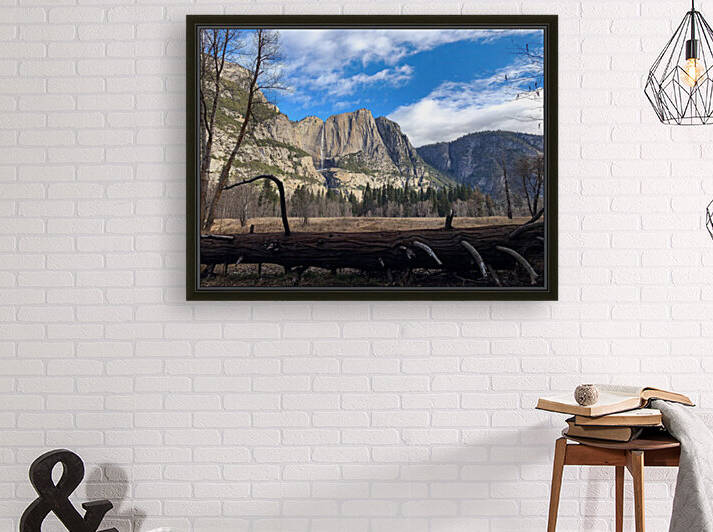 5CBDC632 0FBC 4DE8 8B5F 356DC8FE1462 by Andy W