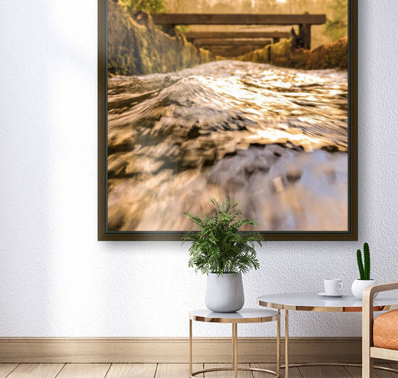 6010E175 B74A 4811 A3AA DEFCAE553752 by Andy W