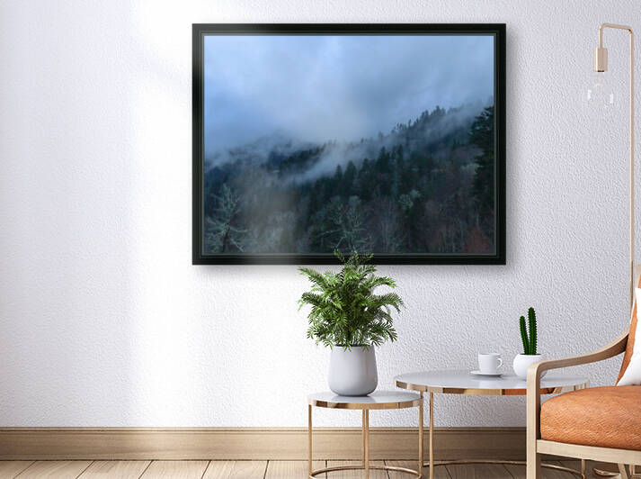 76EB2A53 D340 44C0 82BC E52D62DAB2CB by Andy W