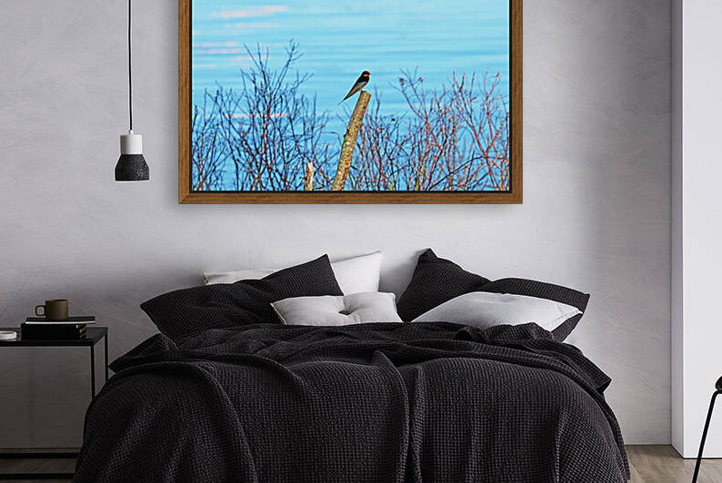 Barn Swallow Moon River by Deb Oppermann