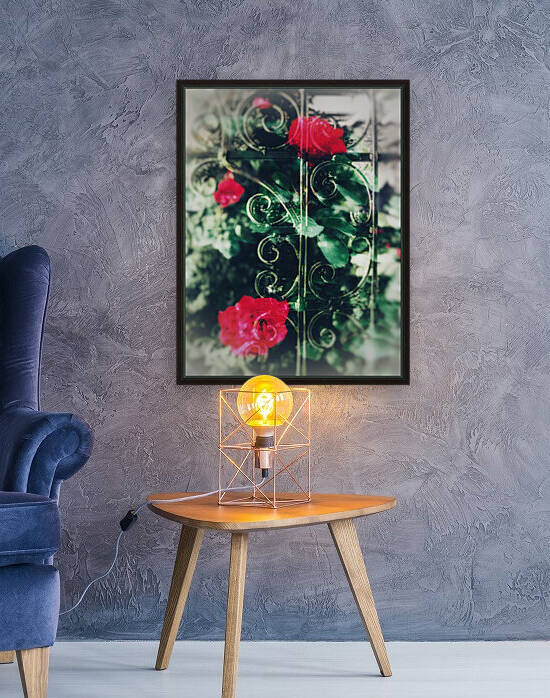 018CC72E 1895 4479 9C75 42B7504E76F3 by shadowmaud