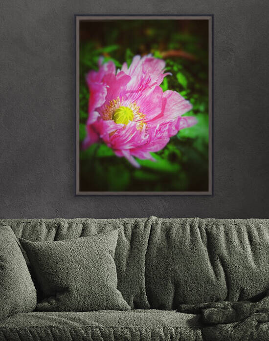 DDB55877 C6EF 454E A3B2 CA22E9070E52 by shadowmaud