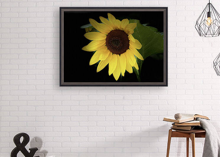 49B02D35 27C4 45C2 B5CA 4D5EF1E358FA by shadowmaud