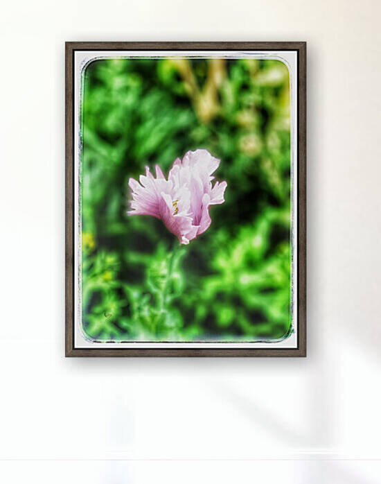 93E6D5A5 D3FB 47D8 B7FE 1ACA1123AE49 by shadowmaud