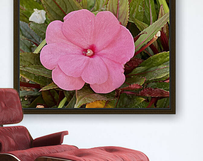 9FFECCC0 0A5B 4A76 8752 4E2BE19CF21B by shadowmaud