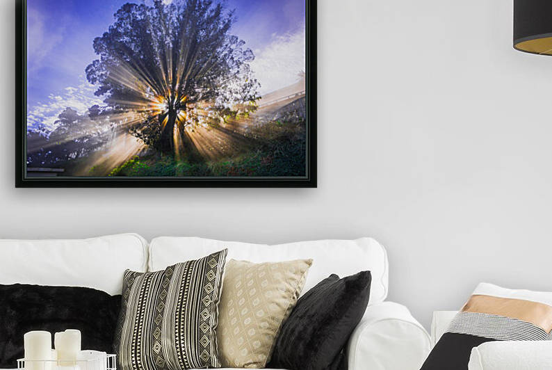 Rays of Light by WOW Factor Photography