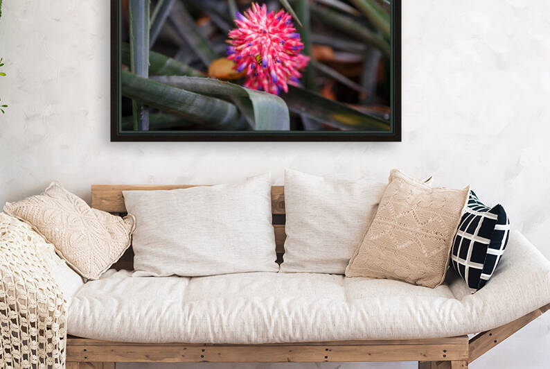 The Color Of Life by WOW Factor Photography