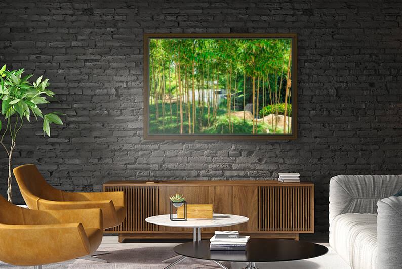 Bamboo by WOW Factor Photography