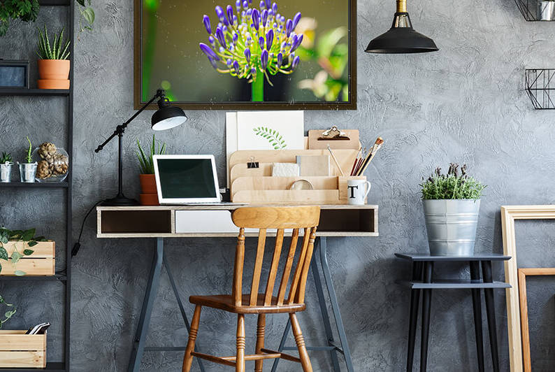 Agapanthus by WOW Factor Photography