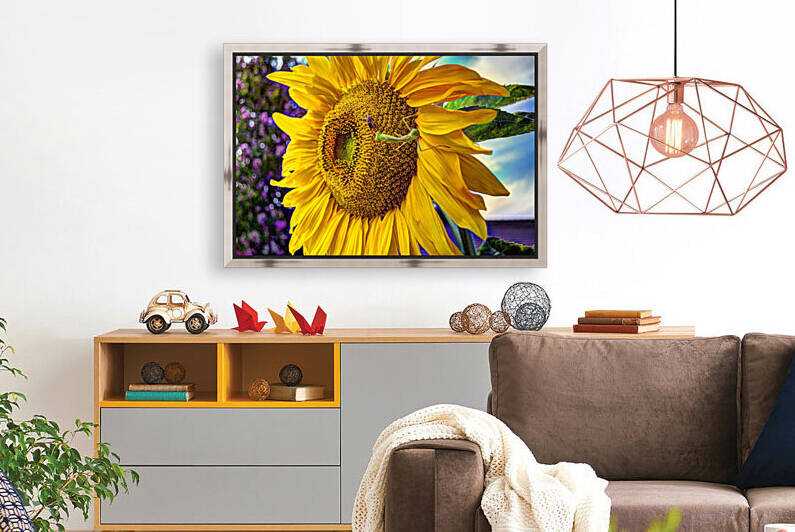 Sunflower Creative by WOW Factor Photography