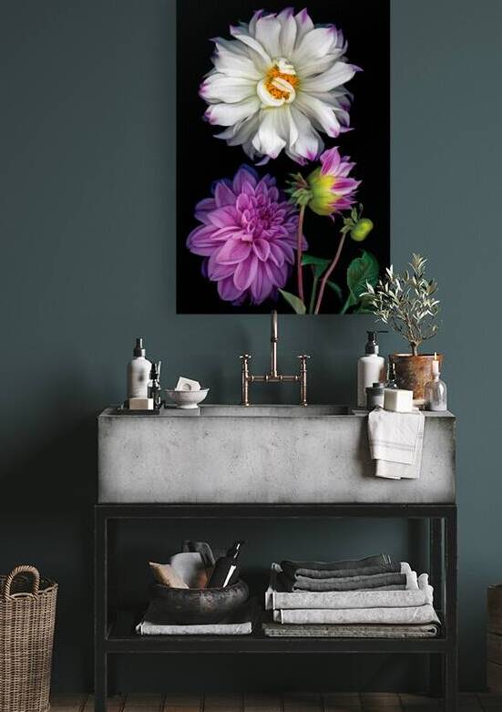 Dahlias by Jane Baron