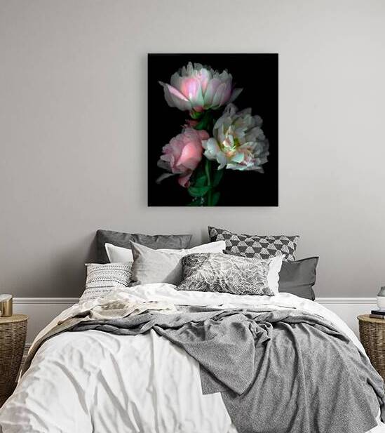 Peonies  by Jane Baron