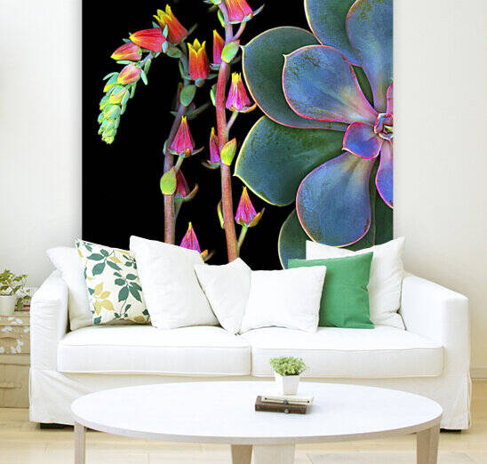 Succulent 2  by Jane Baron