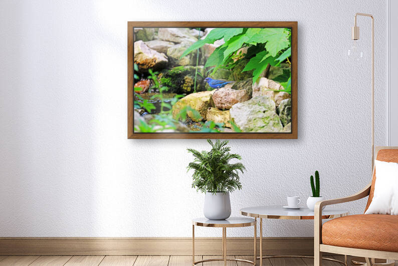 Indigo On The Rocks by Deb Oppermann