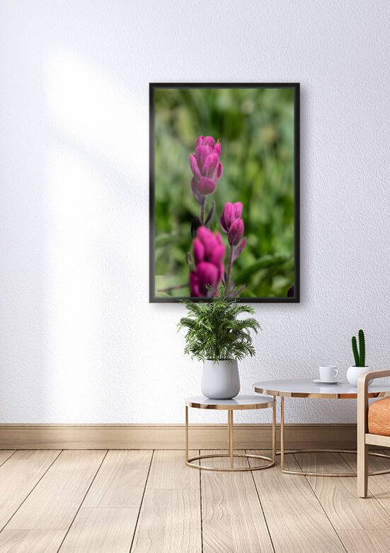 5DM47098 edited 1 by Lynn J Shore   Photographist