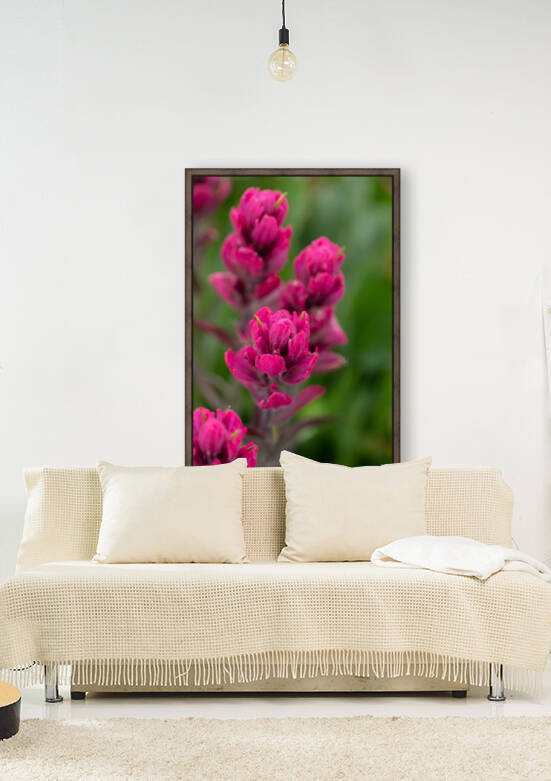 5DM46951 edited 1 by Lynn J Shore   Photographist