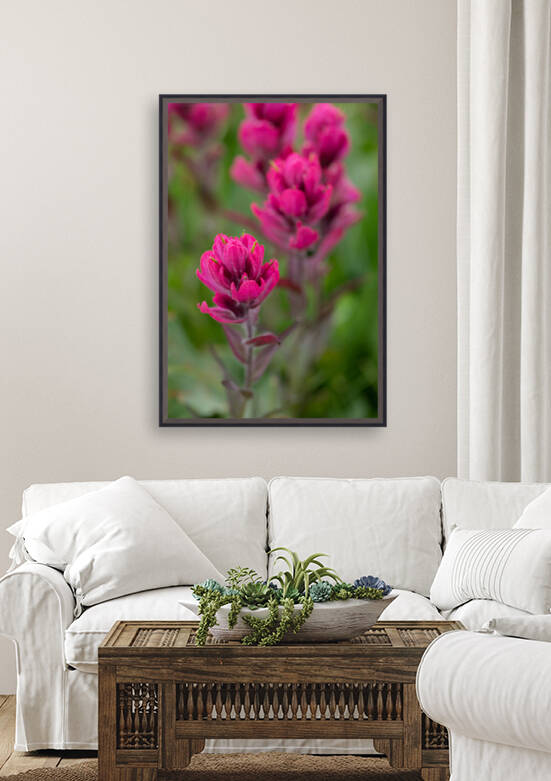 5DM46954 edited 1 by Lynn J Shore   Photographist