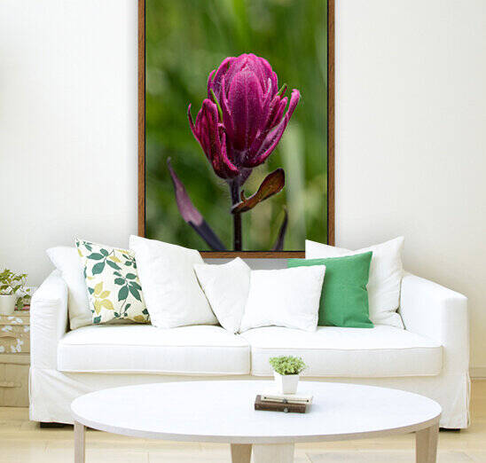 5DM47079 edited 1 by Lynn J Shore   Photographist