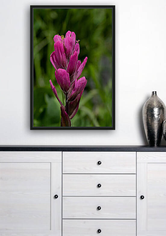 7DM28329 edited 1 by Lynn J Shore   Photographist