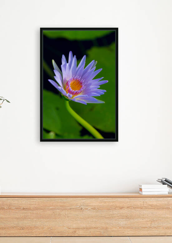 IMG 0064 1 edited 2 by Lynn J Shore   Photographist