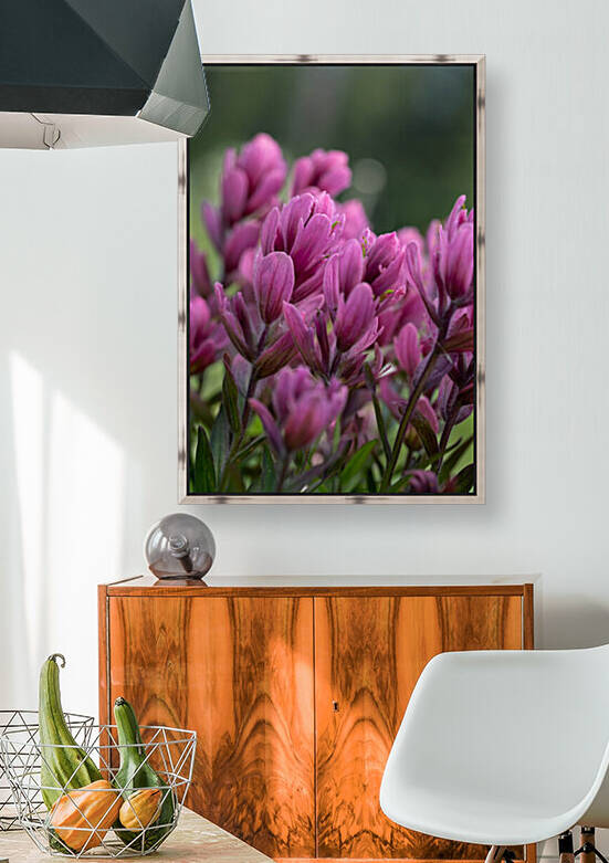 5DM47053 edited 1 by Lynn J Shore   Photographist