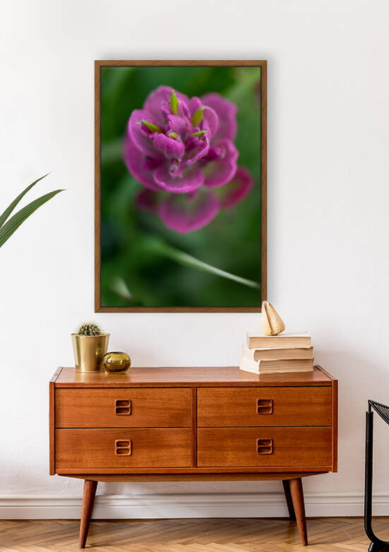 5DM47120 edited 1 by Lynn J Shore   Photographist