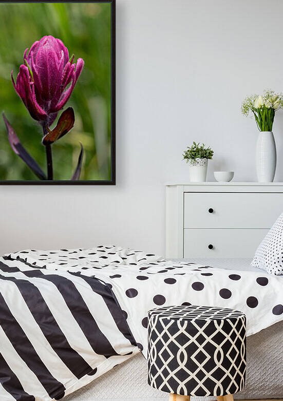 5DM47078 edited 1 by Lynn J Shore   Photographist