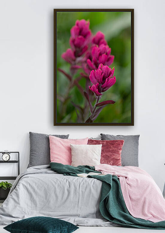 5DM46956 edited 1 by Lynn J Shore   Photographist