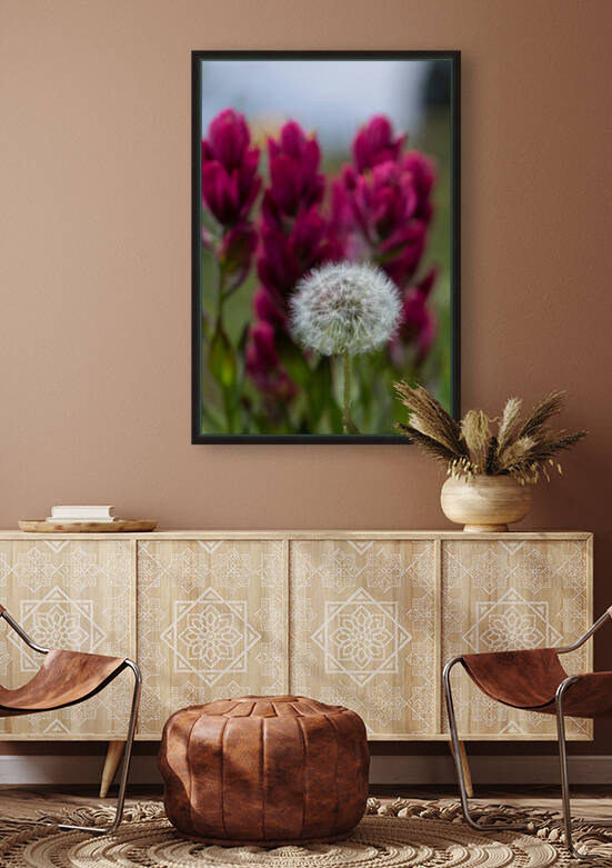 7DM28356 edited 1 by Lynn J Shore   Photographist