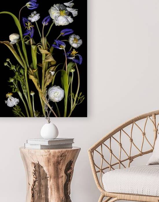 Fading Tulips and Ranunculus by Jane Baron