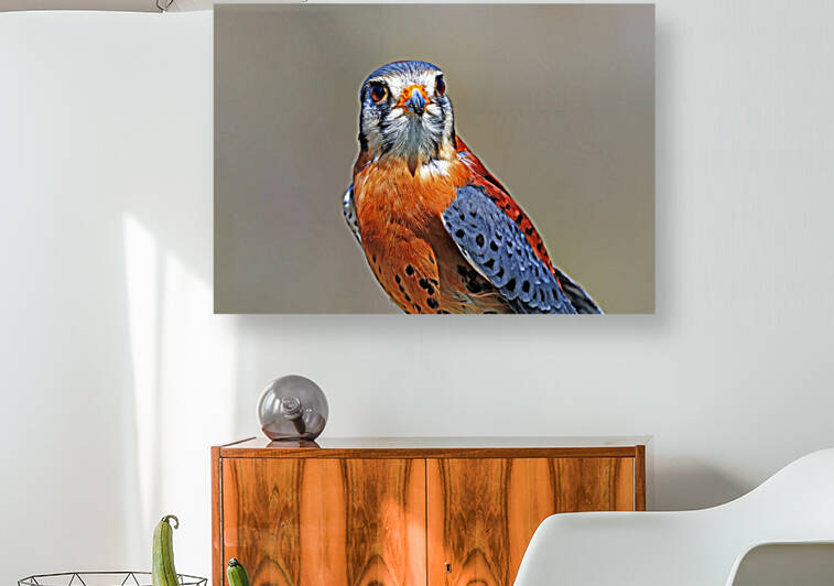 Scrappy Little Raptor by Deb Oppermann