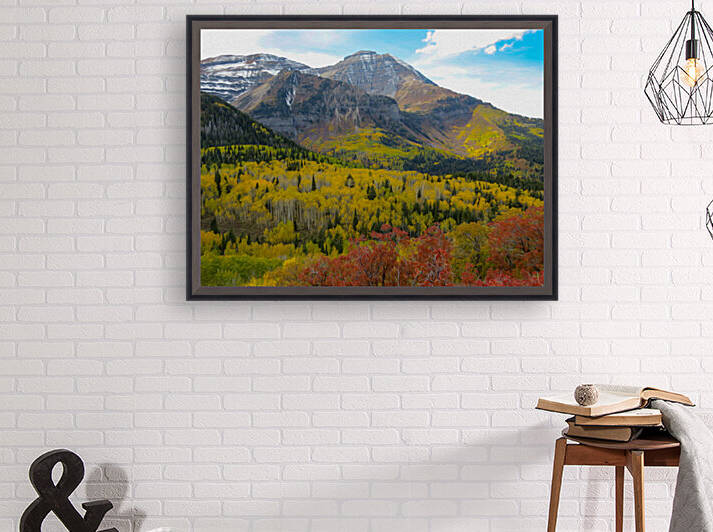 7032 by Stephen Taylor