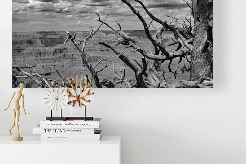 Grand Canyon Twisted Pine Print by Stephen Emms