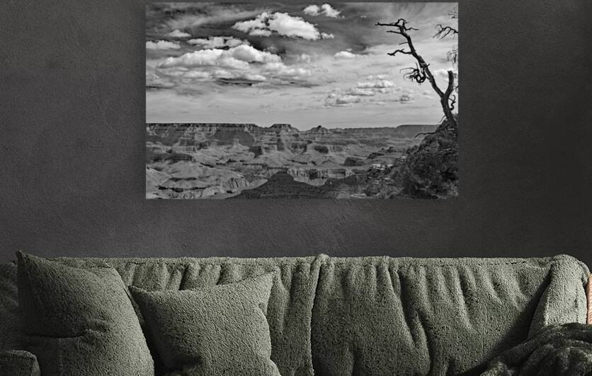  Grand Canyon Picket Print by Stephen Emms
