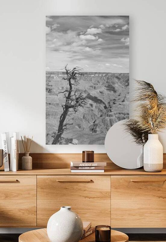 Grand Canyon Desperation Print by Stephen Emms