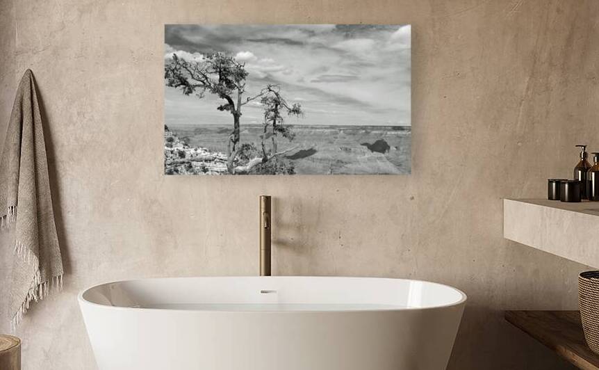 Grand Canyon Sightseers Print by Stephen Emms