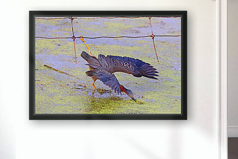 Hanging By The Toes by Deb Oppermann