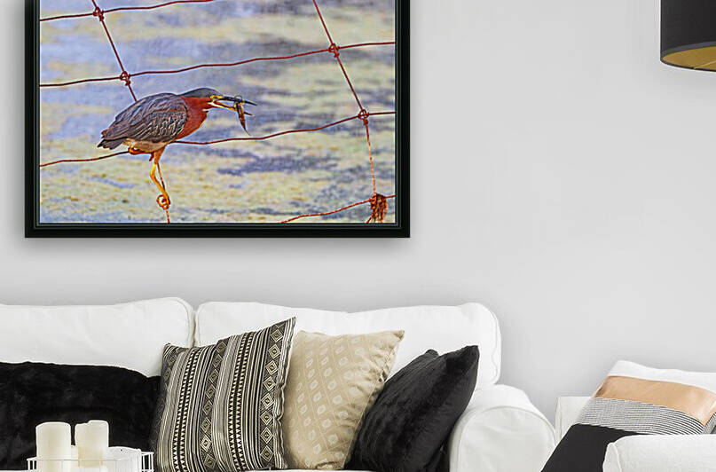 Green Heron Snack by Deb Oppermann